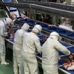 Viceministro de REDIEX: “Paraguay está preparado para duplicar su oferta exportadora en el rubro porcino”