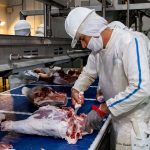 Taiwán se consolida como el primer destino de la carne porcina paraguaya, en el 2023