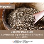 Exportaciones del sector Mipymes sumaron más de USD 270 millones, en el 2023